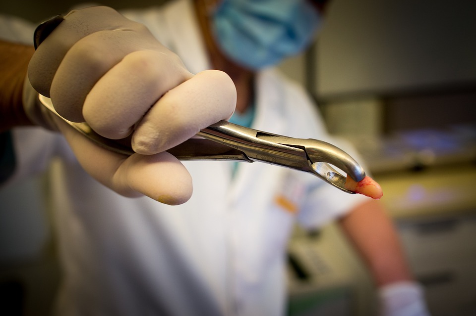 dentist 748154 960 720